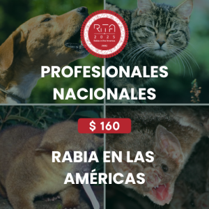 PROFISSIONAIS NACIONAIS l RITA 2025