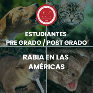 PRE GRADUATE / POST GRADUATE STUDENTS l RITA 2025