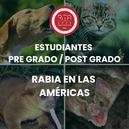 PRE GRADUATE / POST GRADUATE STUDENTS l RITA 2025