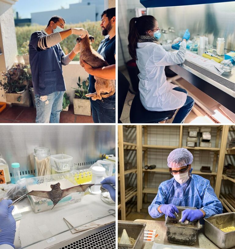 Investigadores en laboratorio