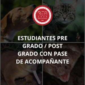 UNDERGRADUATE/POSTGRADUATE STUDENTS WITH A COMPANION PASS