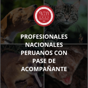 REGISTRATION OF PERUVIAN NATIONAL PROFESSIONALS WITH COMPANION PASSES