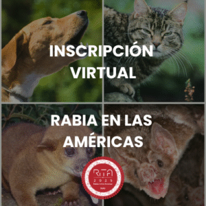 INSCRIPCIÓN l VIRTUAL