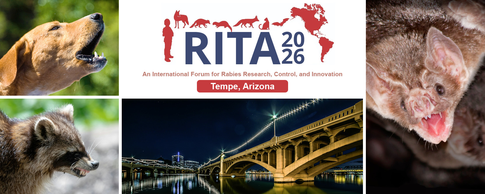 RITA Conference Banner